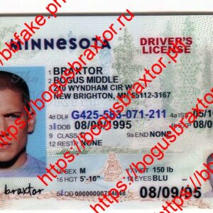 Minnesota(New MN)