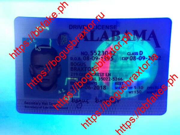 Alabama(AL) - Image 3