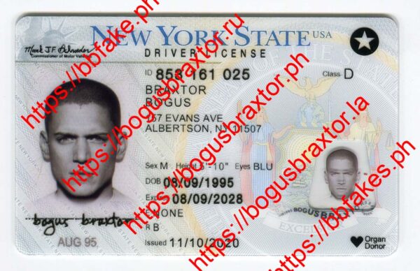 New York 2020 (NY O21 2020)